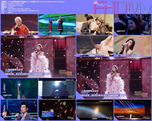 2024中国网络视听年度盛典(Live) 华语群星.2024 2.WEB DL.1080P.AVC.AAC FHDMv.mp4