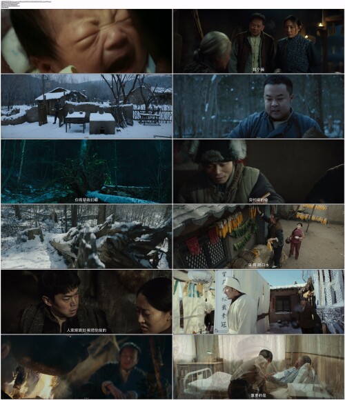 .The.Strange.Land.of.Lindu.2024.WEB-DL.4K.H265.10bit.AAC.Mandarin-OPS.mp4.jpg