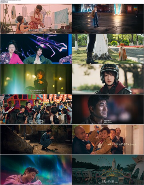 来自汪星的你.My.Father.the.Dog.2024.WEB DL.4K.H265.10bit.AAC.Mandarin OPS.mp4