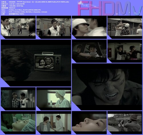 BIGBANG----Haru-Haru.2013.WEB-DL.480P.ProRes.PCM-FHDMv.mkv.jpg