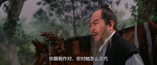 .1970.BDRip.The-Twelve-Gold-Medallions.USA.AC3.FFans.mkv_20250622_133735.034.png