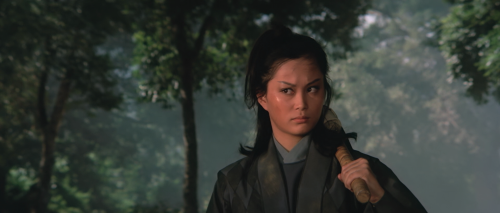 .1972.BDRip.The-Young-Avenger.USA.AC3.FFans.mkv_20250622_115915.354.png