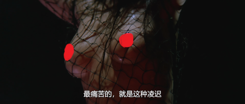 .1983.BDRip.Portrait-in-Crystal.AUS.2Audio.FFans.mkv_20250622_122018.612.png