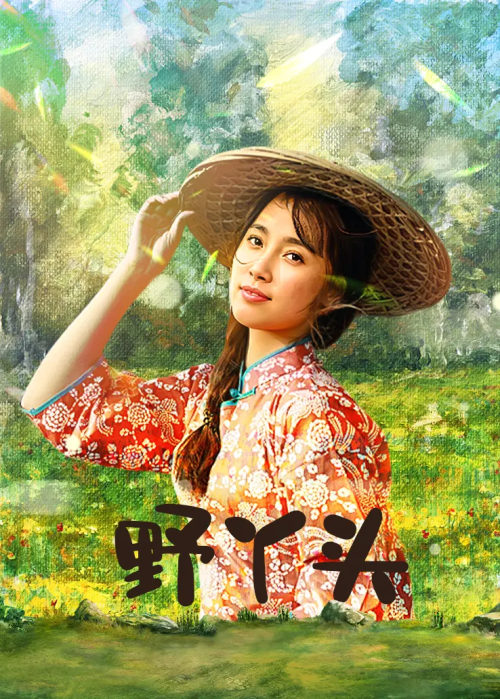 v_cover.png