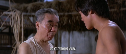 .1974.BDRip.The-Shadow-Boxer.USA.AC3.FFans.mkv_20250813_135759.888.png