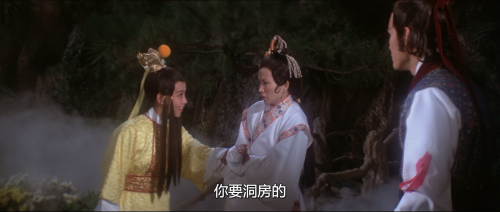 .1978.BDRip.Swordsman-and-Enchantress.USA.AC3.FFans.mkv_20250813_135847.268.png