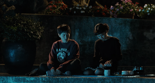 .1994.BDRip.A-Confucian-Confusion.USA.AC3.FFans.mkv_20250825_151833.955.png