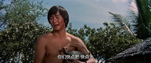 .1973.BDRip.The-Tattooed-Dragon.GBR.AC3.FFans.mkv_20250916_232546.008.png