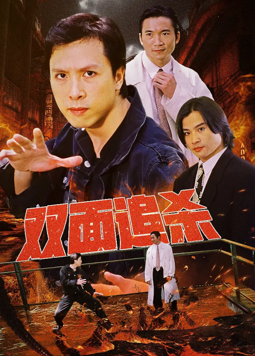 v_cover.png