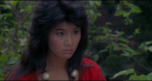 .Wild-Rose.1987.TX.SUBBED.WEB-DL.1080p.HEVC.HDR.10bit.AAC.2.0-OPS.mp4_20250928_141136.436.png