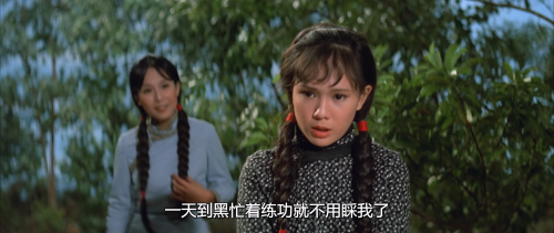 .1974.BDRip.Shaolin-Martial-Arts.GBR.AC3.FFans.mkv_20251031_140122.865.png